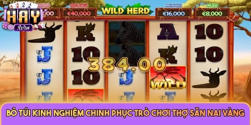 Thợ Săn Nai Vàng - Siêu Phẩm Nổ Hũ Ăn Khách Tại Haywin 2 Bỏ túi kinh nghiệm chinh phục trò chơi Thợ Săn Nai Vàng