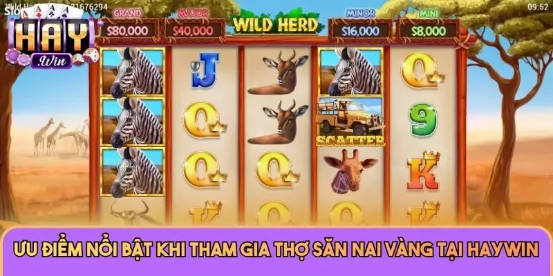 Thợ Săn Nai Vàng - Siêu Phẩm Nổ Hũ Ăn Khách Tại Haywin 3 Ưu điểm nổi bật khi tham gia Thợ Săn Nai Vàng tại Haywin